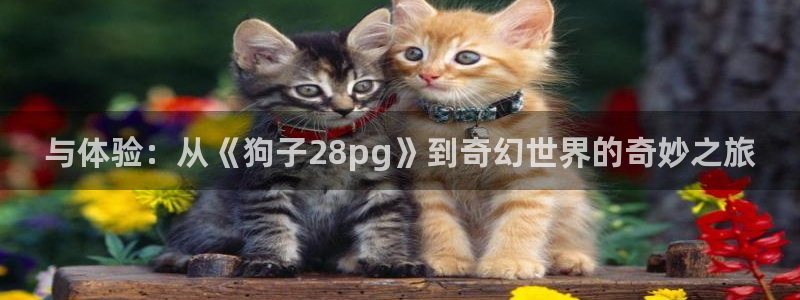 壹号大舞台：与体验：从《狗子28pg》到奇幻世界的奇妙之旅